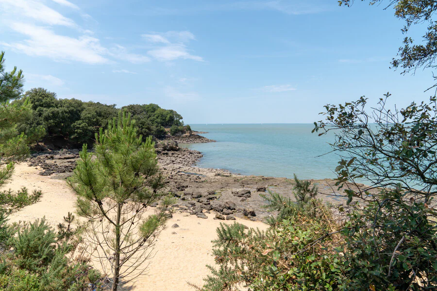 Comment se rendre sur l'île d'Aix ?