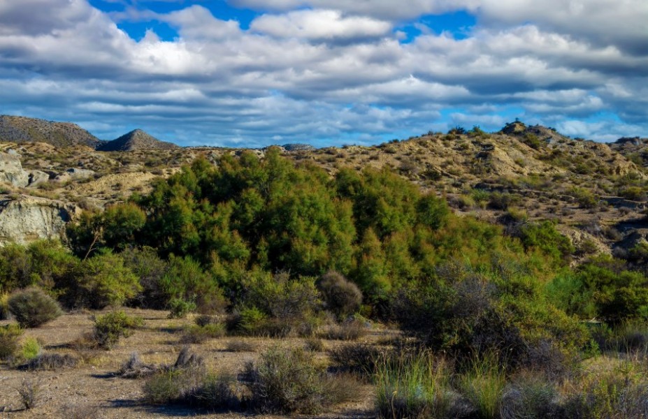 Pourquoi le désert de Tabernas est-il un lieu incontournable en Espagne ?