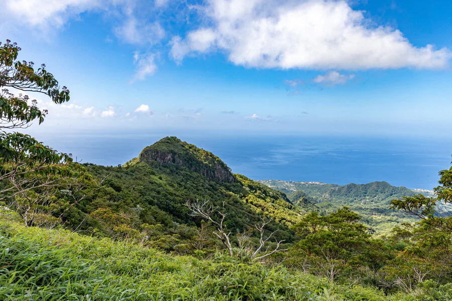 Pourquoi la montagne Pelée est-elle un incontournable en Martinique ?