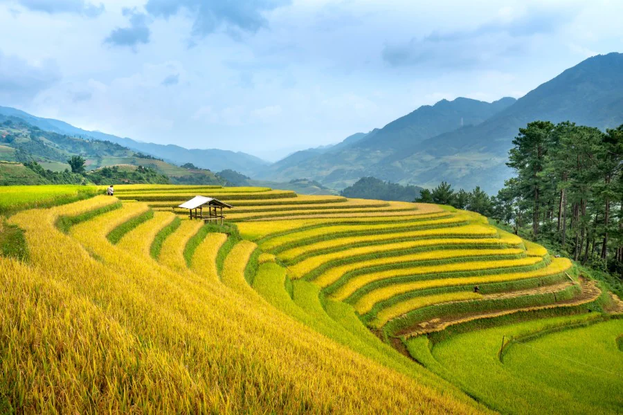 Quels sont les paysages d'Asie à couper le souffle ?