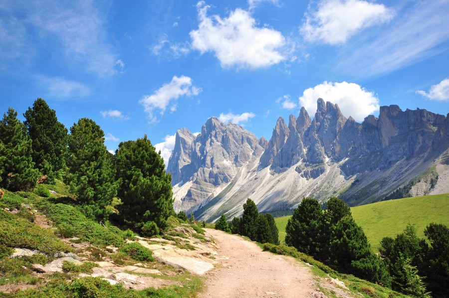 Quelles expériences uniques vivre au Sud Tyrol en Italie ?