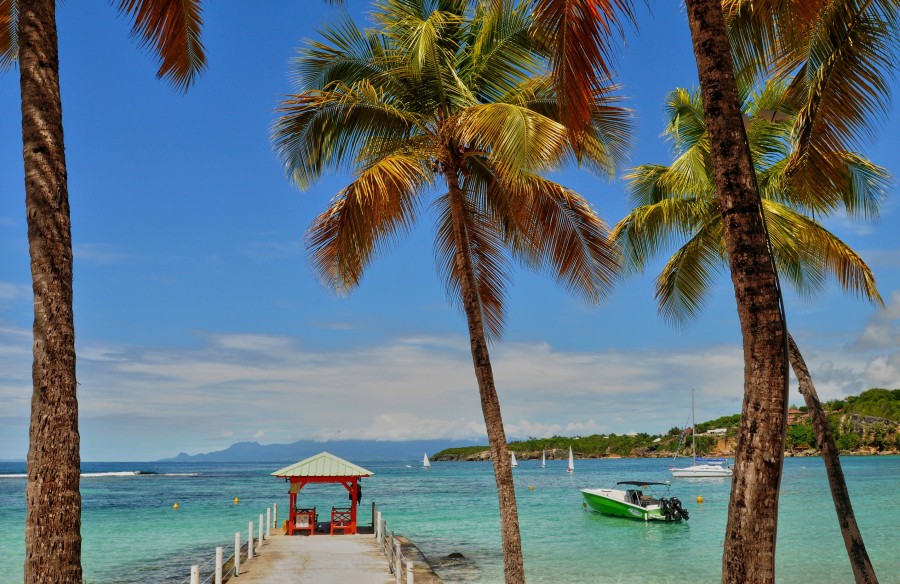 Quelles sont les activités à faire pour profiter des paysages de Guadeloupe ?