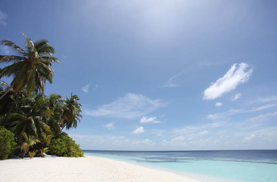 Quelles sont les caractéristiques d'une plage de rêve idéale ?